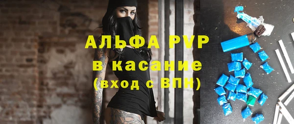 стаф Горняк