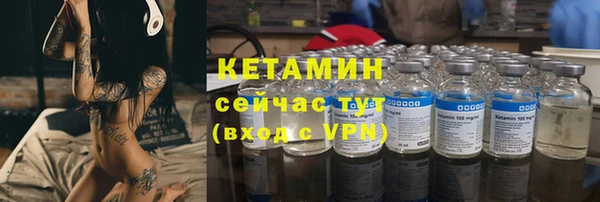 стаф Горняк