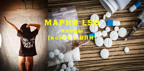 прущие грибы Горнозаводск