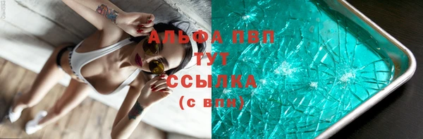 стаф Горняк