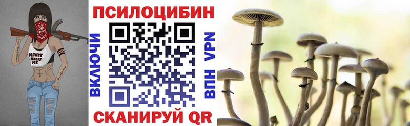 Купить где  Темников  Галлюциногенные грибы мухоморы 